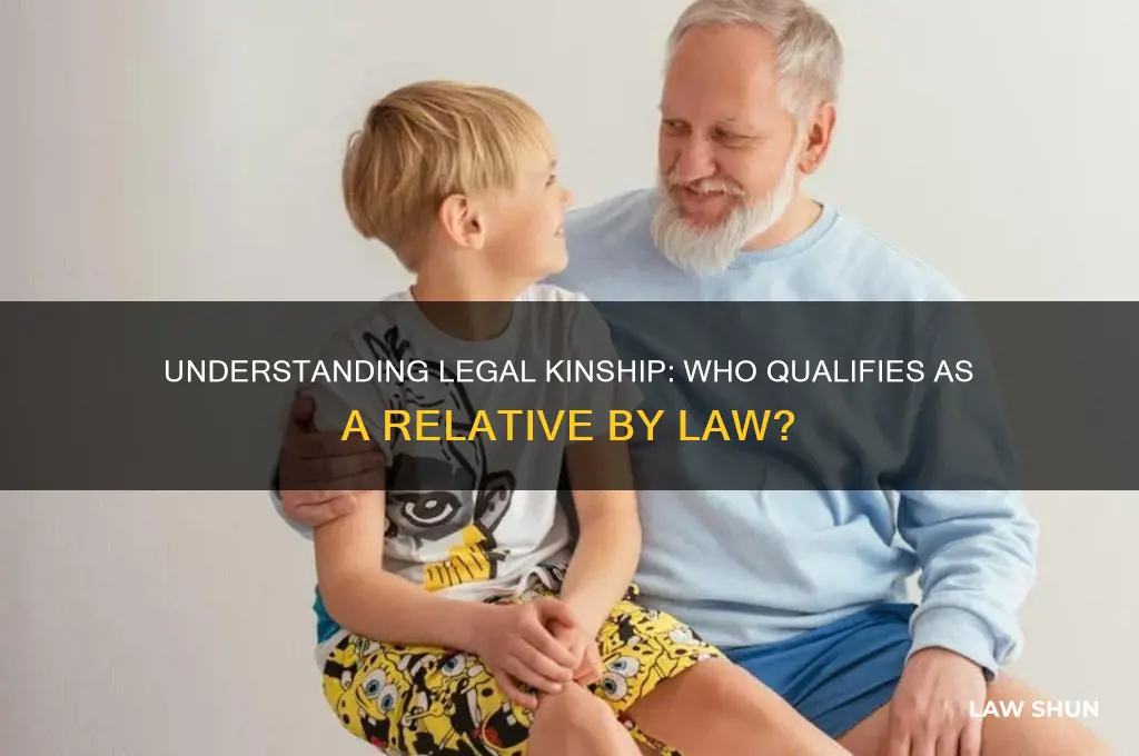 who is a relative by the law