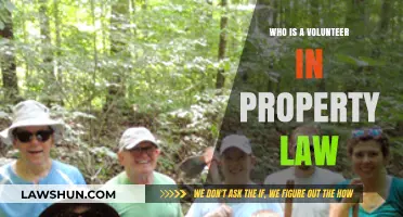 Understanding Volunteer Roles and Rights in Property Law Transactions