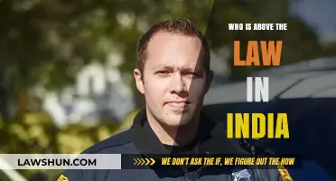 The Law and the Powerful in India
