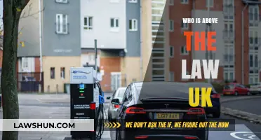 The Law and Those Exempt in the UK