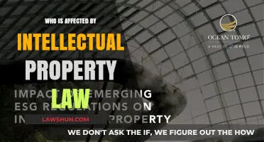 Who Bears the Impact of Intellectual Property Law?