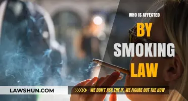 Smoking Laws Impact: Who Bears the Brunt and How?