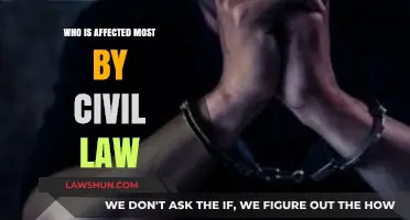 Civil Law's Impact: Who Bears the Brunt in Society?