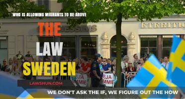 Sweden's Migrant Policies: Are They Above the Law?