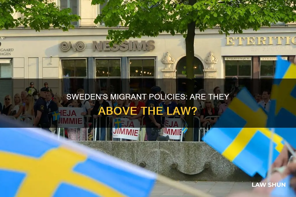 who is allowing migrants to be above the law sweden