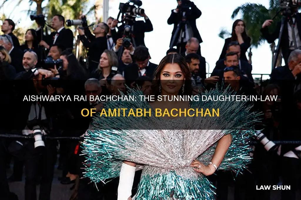 who is amitabh bachchan daughter in law