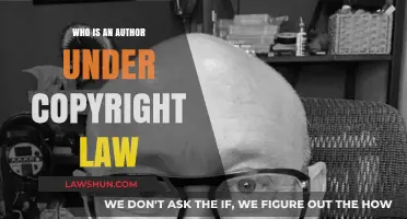 Understanding Copyright Law: Defining the Role of an Author