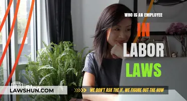 Understanding Employee Classification Under Labor Laws: Key Definitions and Criteria