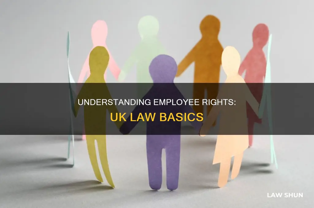 Understanding Employee Rights: Uk Law Basics | LawShun