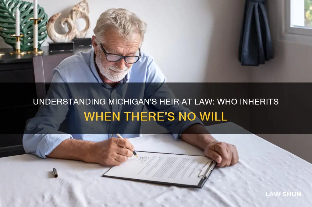 who is an heir at law in michigan