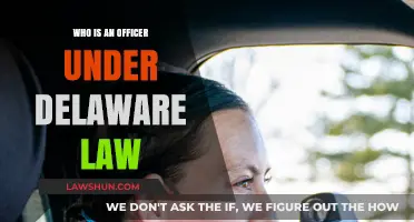 Understanding Officer Roles and Responsibilities Under Delaware Law