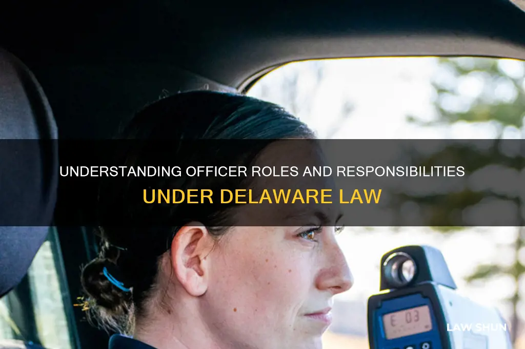 who is an officer under delaware law