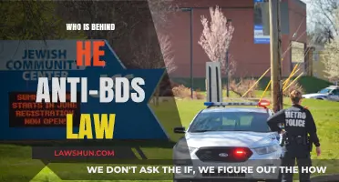 Unveiling the Forces Driving the Anti-BDS Legislation: A Deep Dive