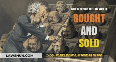 Beyond the Law: Exposing the Bought and Sold in Power