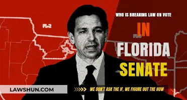 Unraveling the Mystery: Who's Behind Florida's Vote-Rigging Scandal?