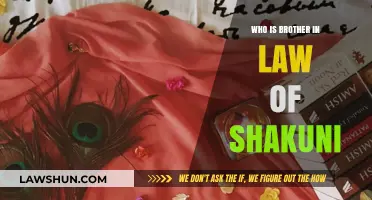 Who Was Shakuni's Brother-in-Law?