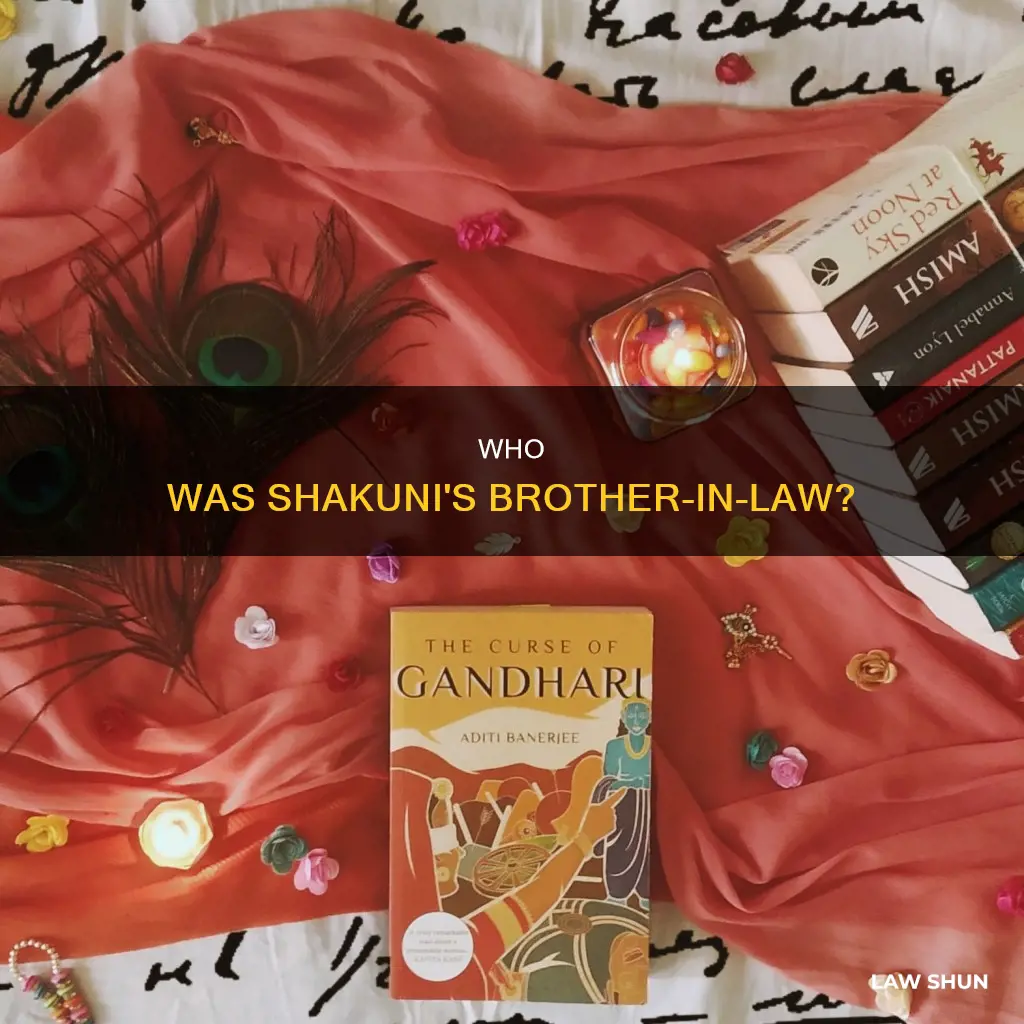 who is brother in law of shakuni