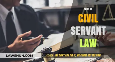 Understanding Civil Servant Law: Roles, Responsibilities, and Legal Framework