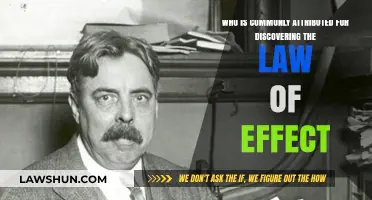 The Law of Effect: Discovering Thorndike's Legacy