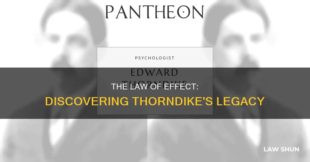 who is commonly attributed for discovering the law of effect
