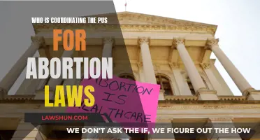 Who is Leading the Push for Abortion Law Changes?