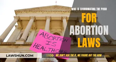 Who is Leading the Fight for Abortion Rights?