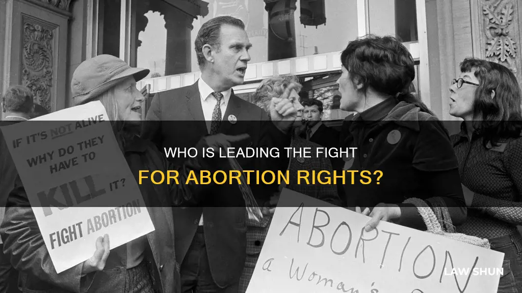 who is coordinating the push for abortion laws