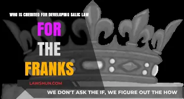 Salic Law Origins: Crediting the Developer for the Franks' Legal Code
