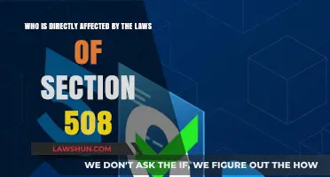 Understanding Section 508: Who Faces Direct Impact from Its Laws?