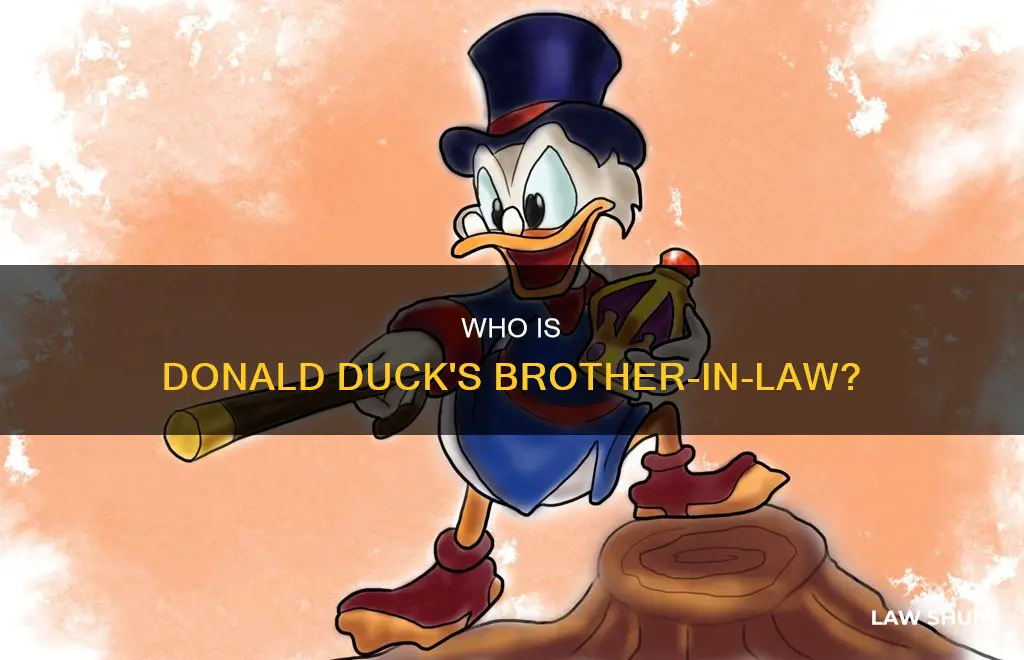 who is donald duck