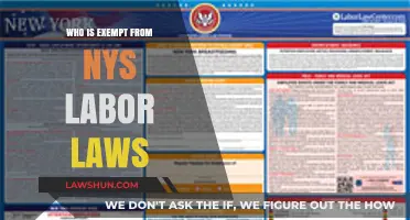 Who is Exempt from NYS Labor Laws: Key Exceptions Explained