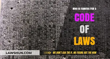 The Legacy of Hammurabi: A Code of Laws That Shaped History