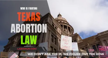 Battling Texas Abortion Law: Who's Leading the Fight?