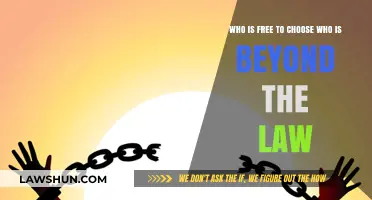 Beyond the Law: Who Holds the Power to Choose Freedom?