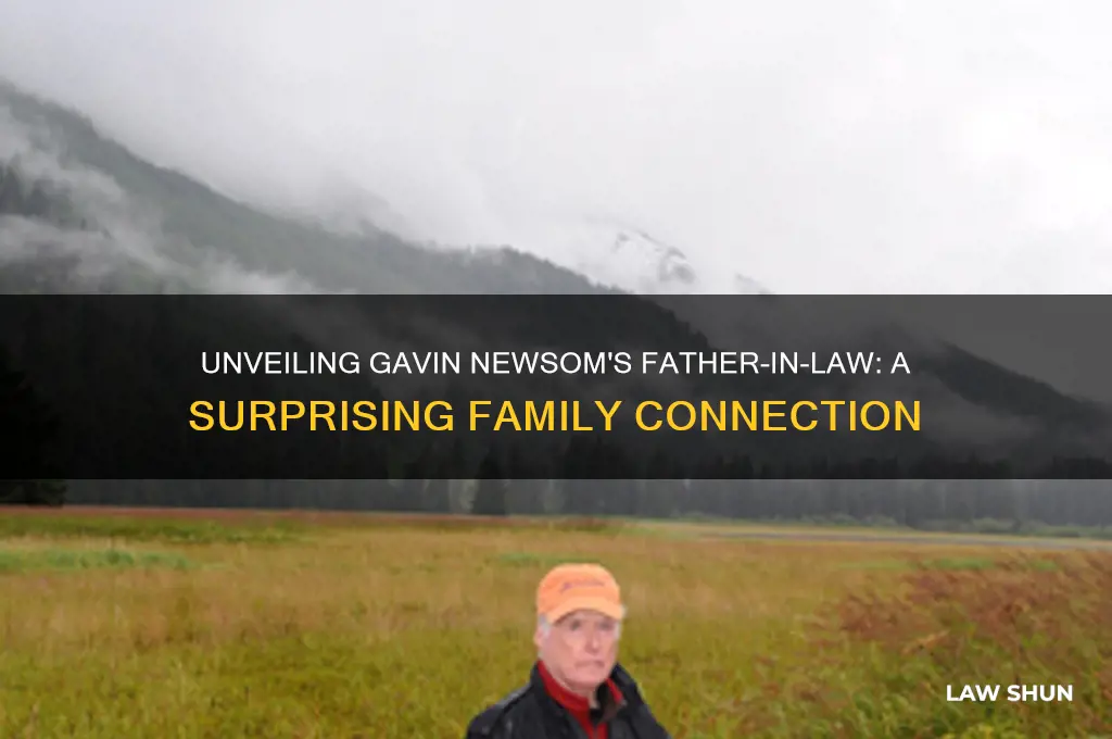 who is gavin newsom