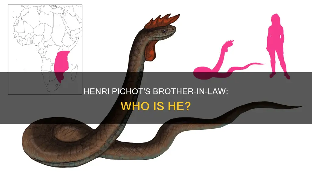 who is henri pichot