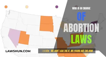 Who Holds the Power Over Abortion Laws?