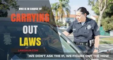 Understanding the Role of Law Enforcement in Implementing Legislation