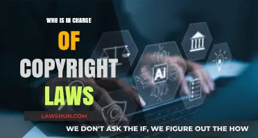 Understanding Copyright Law Governance: Who Holds the Reins?