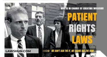 Missouri Patient Rights: Who Makes the Laws?