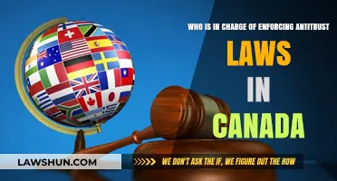 Antitrust Laws in Canada: Who's in Charge?