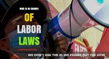 Who Enforces Labor Laws? Understanding Key Authorities and Responsibilities
