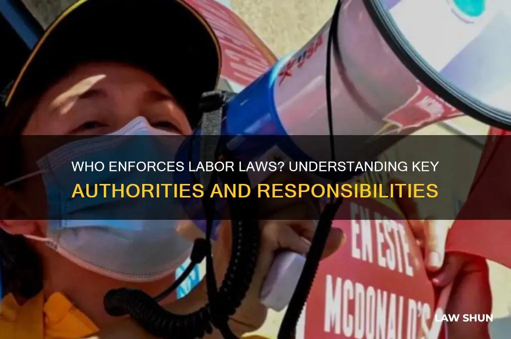 who is in charge of labor laws