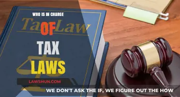 Who Holds the Power Over Tax Laws?