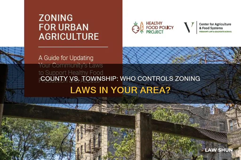 who is in charge of zoning laws county or township