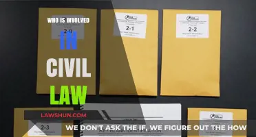 Key Players in Civil Law: Understanding the Involved Parties