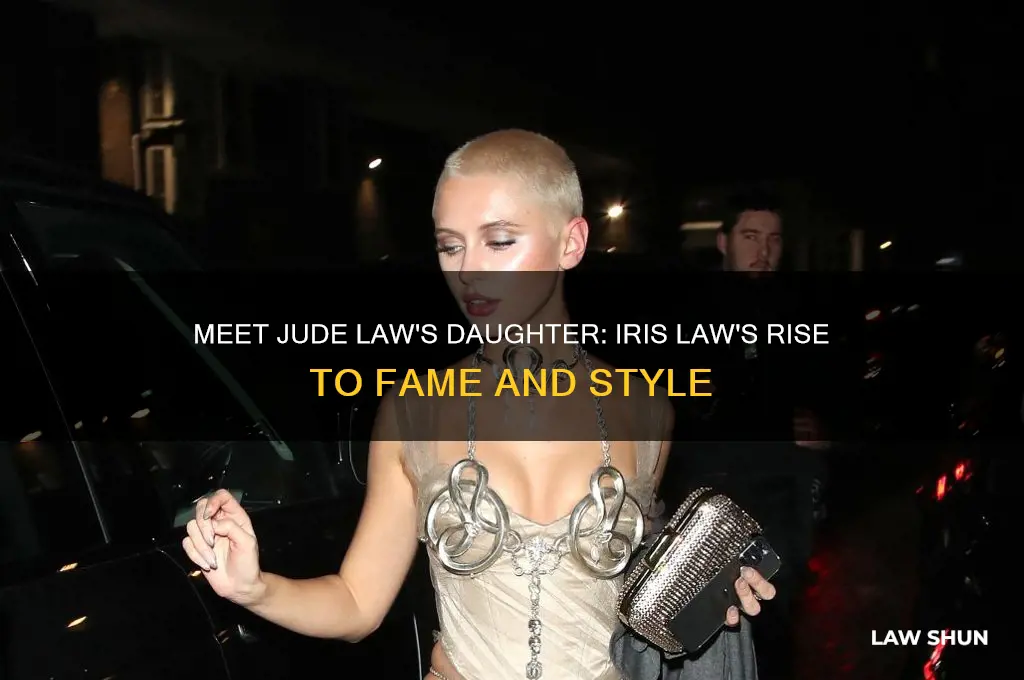 who is jude law
