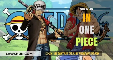 Unraveling the Enigma: Who Embodies Law in One Piece?
