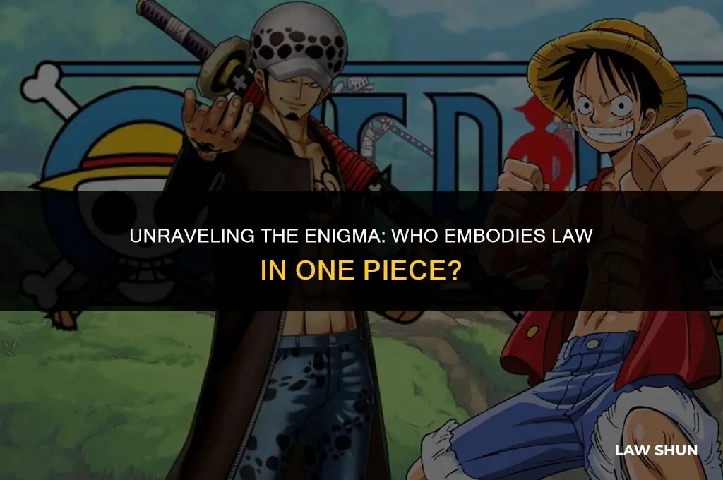 who is law in one piece