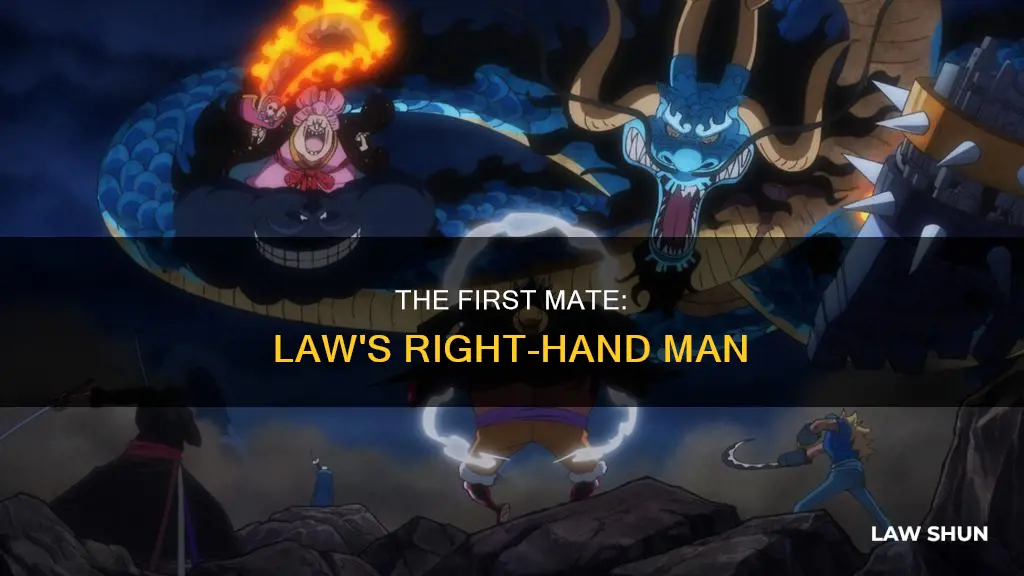 who is law